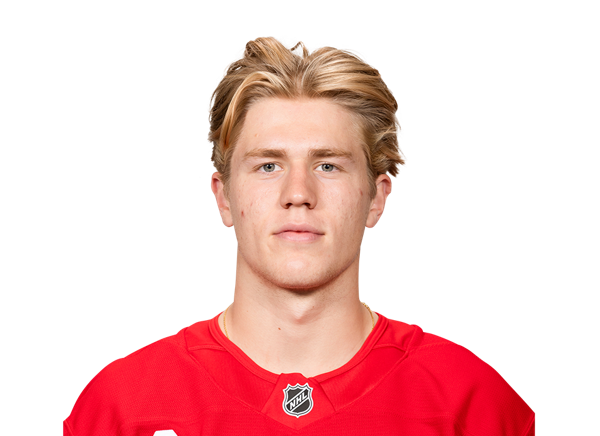 Michael Brandsegg-Nygard